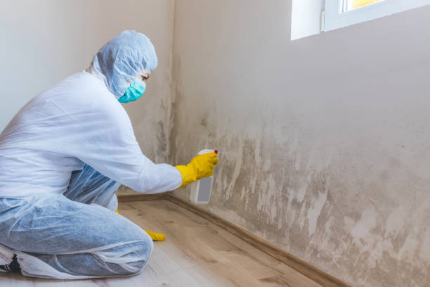 Licensed Crawl Space Mold Removal service in Mebane, NC - WQB Mold Removal