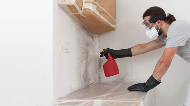 Professional Crawl Space Mold Removal technician working in Mebane, NC