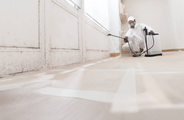 24/7 Emergency Crawl Space Mold Removal experts in Mebane, NC