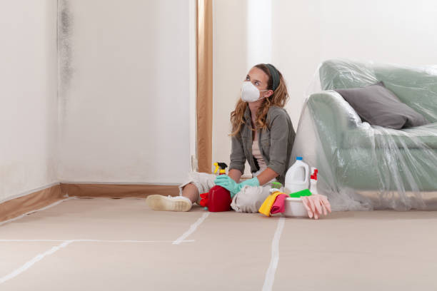 Reliable Crawl Space Mold Removal contractor in Mebane, NC by WQB Mold Removal