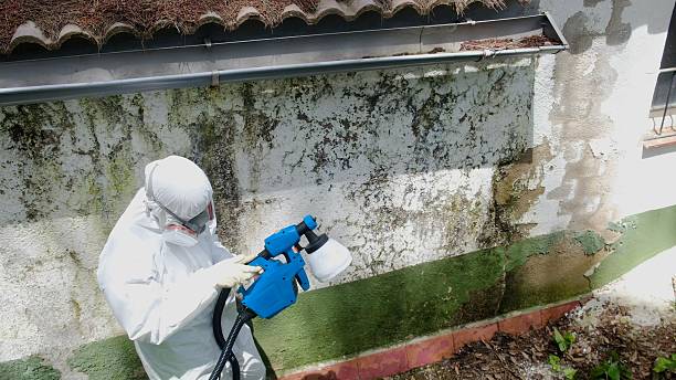 Top rated local Crawl Space Mold Removal specialists in Mebane, NC